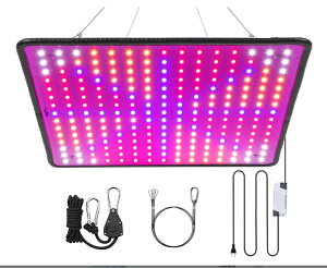 A烉vLEDpl400WSXyNg225LEDcLEDvA烉vkvApAϗtA؍HA͔|Hƒ؉|
