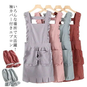 Gv H^ fB[X JtFGv ۈm  E֗Lb`pi H 