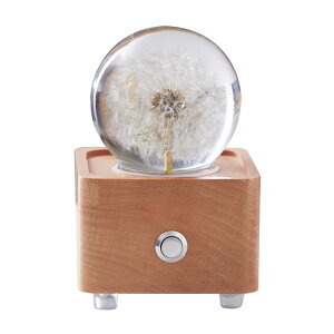 e[uCg IS[ LED  u  y 3D ̓I }`bN l Mtg LO o^Cf[ 蕨 Mtg v[g