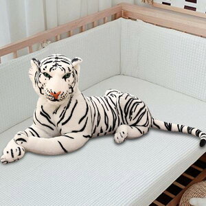 Ղ̂ʂ   ʂ ʂ ʂ I p zCg