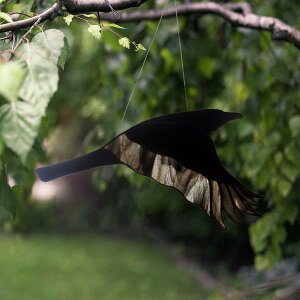 CuKX݂艺nEB݂艺SVbNnEBI[igrO[z[[hItBXpeBI