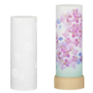 d cX ~ ~j ~  炳Α2_ZbgyFz ~pEV+ʔNpE19cm×6.5cm LED R[hX ؖt