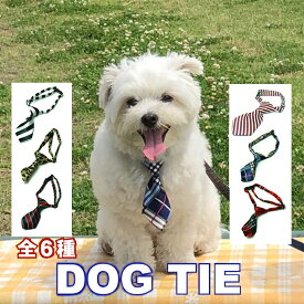 犬 アクセサリー ネクタイ Zenpets DOG TIE 全6種 1000円ポッキリ プレゼント おしゃれ かわいい 犬服 お散歩 コーディネイト 超小型犬 小型犬 当店オリジナル