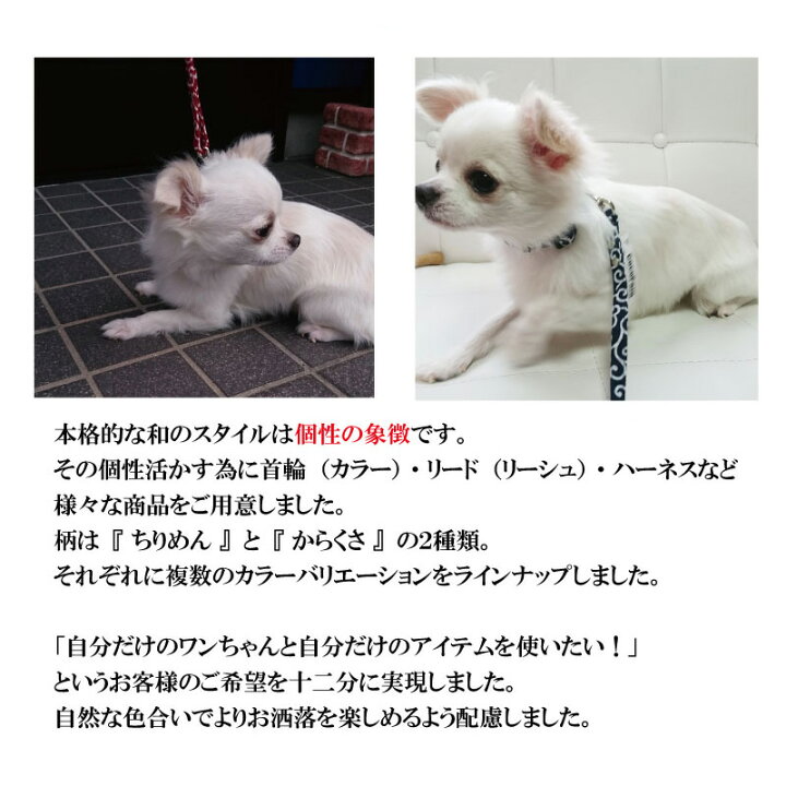 楽天市場 犬用 安全フック ジョイントフック 唐草模様 10mm幅 ペットグッズ専門店 Zenpets