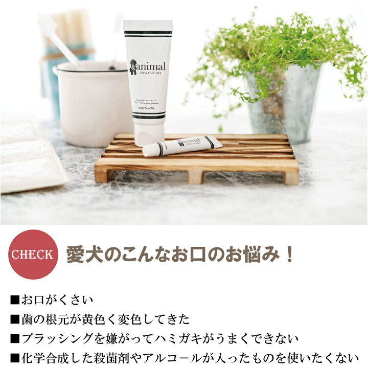 楽天市場】【現品限り】 犬用 歯磨きジェル Toothpaste Gel 5g×2 お試しサイズ オーラルケアジェル &animal 歯磨き粉 口臭 歯周病 ケア : ペットグッズ専門店 Zenpets 楽天市場】【現品限り】 犬用 歯磨きジェル Toothpaste Gel 5g×2 お試しサイズ オーラルケアジェル &animal 歯磨き粉 口臭 歯周病 ケア : ペットグッズ専門店 Zenpets
