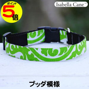 yӍՃ|Cg5{z y݌Ɍz ^p   Isabella Cane CUxPC Buddha ub_͗l SpringGreen