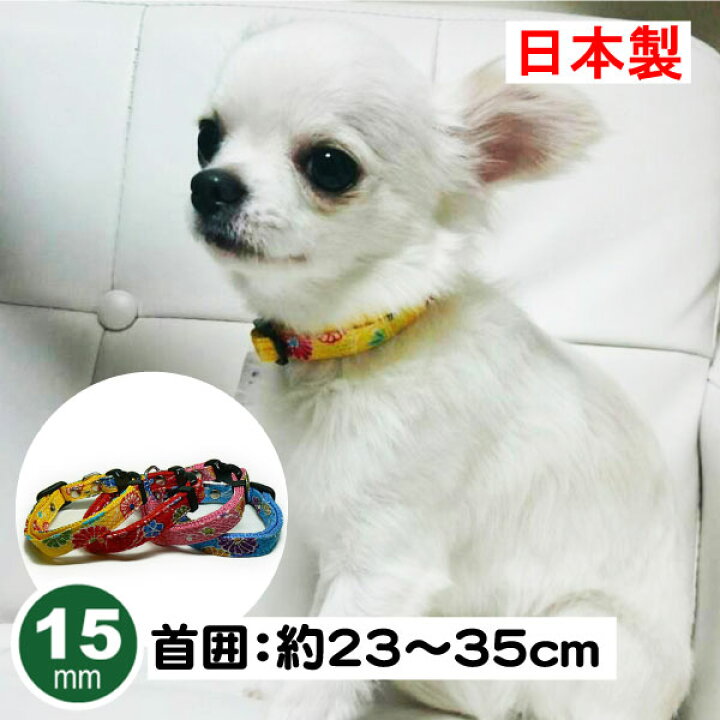 楽天市場 ちりめん 小型犬用 首輪 15mm幅 ワンタッチ 軽い 国産 オシャレ かわいい ペットグッズ専門店 Zenpets