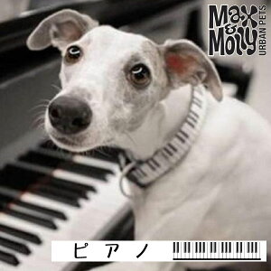 �y�݌Ɍ���z ���p ��� ������� �f�W�^�����q�D�t�� �s�A�m Max&Molly OriginalGear �����^�� ���^�� ���^�� ��^��