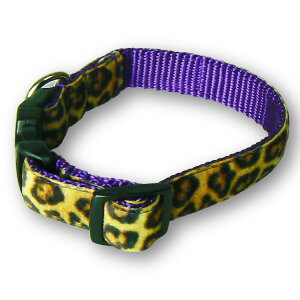 yӍՃ|Cg5{z p  qE MIMI Green Velvent Leopard ^    ~~ O[ Ip[h ^ ^ ^