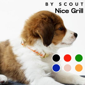 【スーパーセール 半額】 【在庫限り】 首輪 おしゃれ See Scout Sleep Nice Grill 小型犬 中型犬 大型犬
