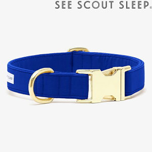 y݌Ɍz   See Scout Sleep The Scot UEXRbg ^ ^ ^ ^