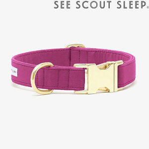 y݌Ɍz   See Scout Sleep The Scot UEXRbg ^ ^ ^ ^