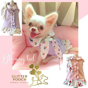 ^p n[lX ȒPE p ̌^ GLITTER POOCH u[~O eC  }WbNe[v