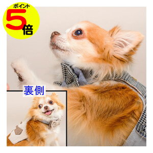 y}\|Cg5{z y݌Ɍz ^p  n[lX ȒPE p ̌^ COuh^ GLITTER POOCH ue p o[Vu  킢 }WbNe[v 