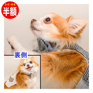 yz X[p[SALE&|Cg5{z y݌Ɍz ^p  n[lX ȒPE p ̌^ COuh GLITTER POOCH ue p o[Vu  킢 }WbNe[v 