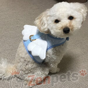^p n[lX ȒPE p ̌^ GLITTER POOCH _eB GWF  }WbNe[v