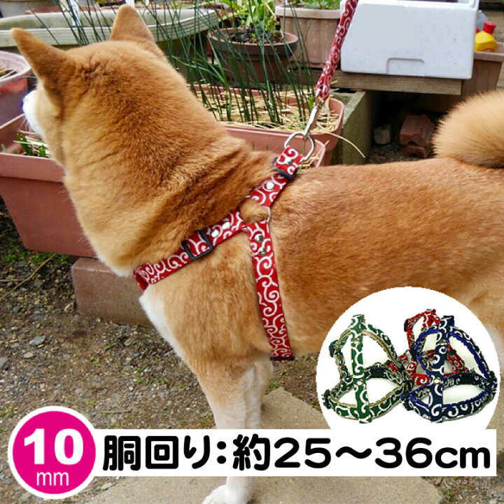 楽天市場 犬用ハーネス おしゃれ 3d型 立体型 足入れ型 からくさ 唐草 サイズ 10mm幅 国産 和柄 かわいい ペットグッズ専門店 Zenpets