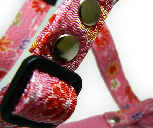 ^p ߂ n[lX _uO Zenpets Y 3D^ ^ a  킢 ^ ^