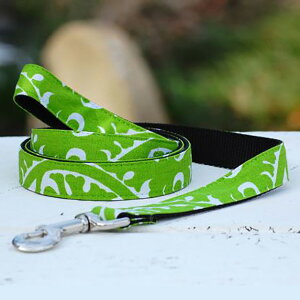 yӍՃ|Cg5{z y݌Ɍz p [V Isabella Cane CUxPC Buddha ub_͗l   ^ ^ ^