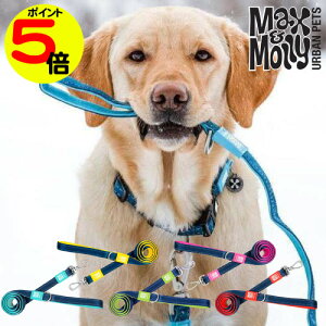 y}\|Cg5{z p [V Max&Molly Matrix Line  N[ fUC ^ ^ ^ ^