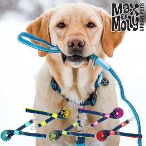 y݌Ɍz p [V Max&Molly Matrix Line  N[ fUC ^ ^ ^ ^