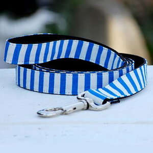 y݌Ɍz p [V Isabella Cane CUxPC Stripe XgCv͗l   ^ ^ ^