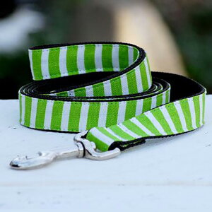 y݌Ɍz p [V Isabella Cane CUxPC Stripe XgCv͗l  ^ ^ ^