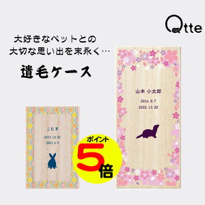 yX[p[Z[|Cg5{z y ꖳz p  P[X Qtte O ؂Ȏvo A F 肢  킢