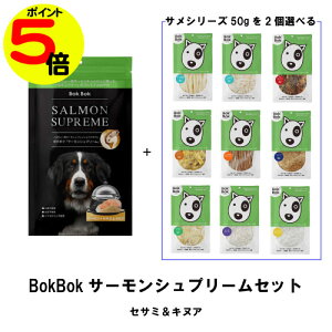 yX[p[Z[|Cg5{z p  T[Vv[XeBbN 3_Zbg ZT~LkA T BokBok Nu ORT~ R[Q