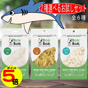 yX[p[Z[|Cg5{z  Tvg TCY Y F BokBok T 2ޑIׂ S6    Zbg wV[ Mtg ֐ {N{N h{ K{