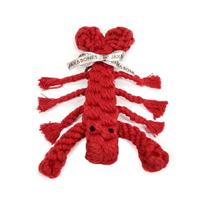 y݌Ɍz ̂ JAX&BONES [vgC Lobster uX^[