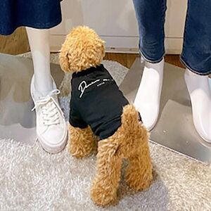 y}\|Cg5{z hbO EFA DenimRose S TVc ^