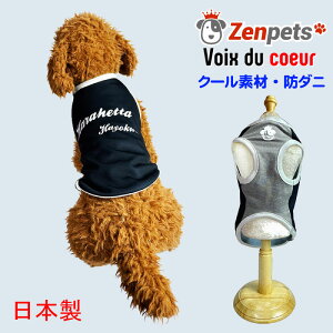   ĕ h_j Zenpets Y nO[ N[N`[ ewc TCY܂  H hD N[ ` gCv[h _bNX