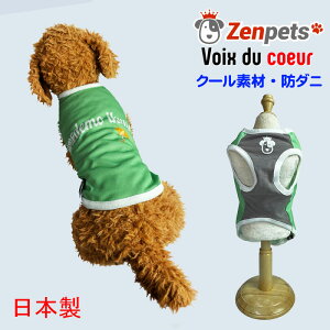   ĕ h_j Zenpets Y Cj[fC N[N`[ ewc TCY܂  H hD N[ ` gCv[h _bNX
