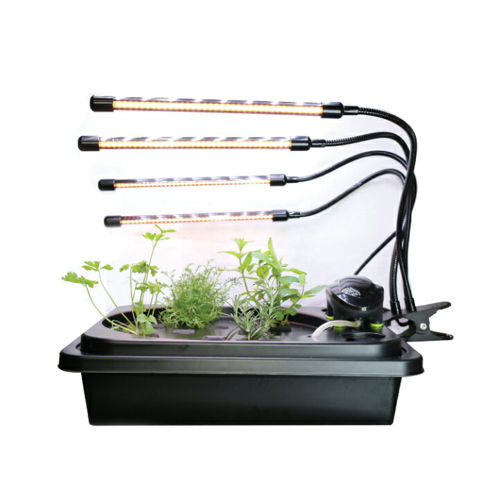 楽天市場】水耕栽培キット LED付き水畑 LEDタイプ 選択 白のLED4本 