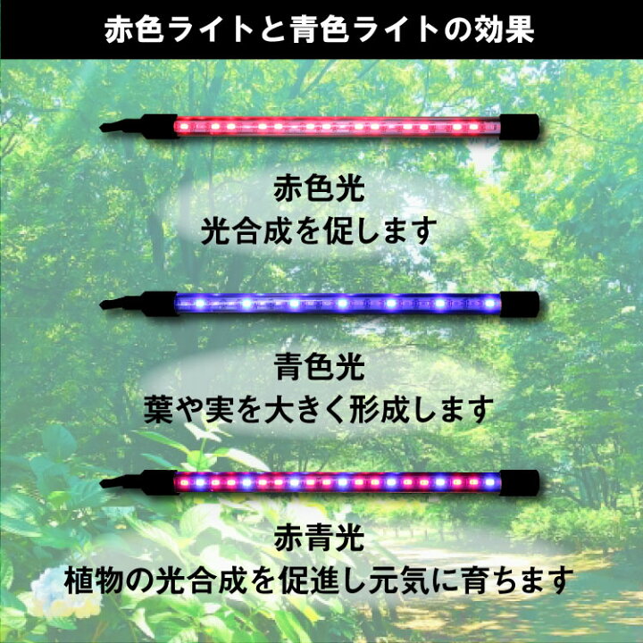 楽天市場 植物育成ライト 植物ledライト 80電球 Usb給電式 植物栽培ランプ 4ヘッド付き タイマー機能 360 グースネック 日照不足解消 植物の各生長段階 観葉植物育成ライト 多肉植物育成ライト 水耕栽培ランプ 室内栽培ランプ 家庭菜園 室内園芸 水草栽培 野菜工場