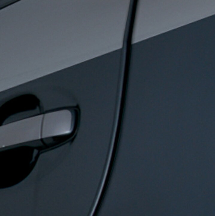 スカープ 散歩に行く パブ カー 用品 ドアモール 松 救急車 流出