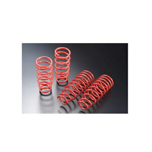 オートエクゼ ローダウンスプリング CX−8 KG5P 2WD MKG7200