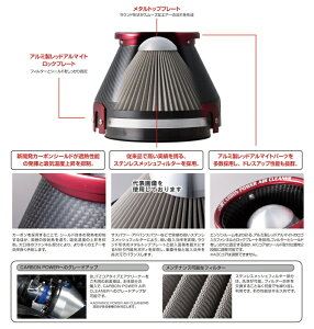 BLITZ �G�A�N���[�i�[ CARBON�p���[ [35240] ���[�h�X�^�[(ND5RC)