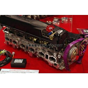 HKS RB26V�J���V�X�e�� STEP2 IN 264° �X�J�C���C��GT-R BCNR33 RB26DETT 95/01-98/12 22007-AN018