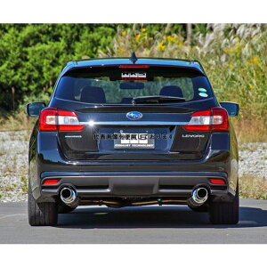 HKS �n�C�p���[ �X�y�b�NL 2 �}�t���[ �����H�[�O VMG FA20(TURBO) 14/06-20/10 31019-AF128