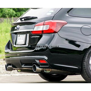 HKS X[p[ ^[{ }t[ H[O VM4 FB16(TURBO) 14/06-20/10 31029-AF010