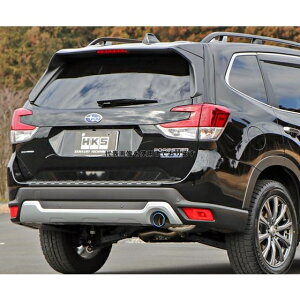 HKS [K}bNX v~A }t[ tHX^[ SKE FB20 18/09- 32018-AF017