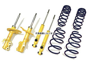 ([J[Els)KYB(Jo) Lowfer Sports PLUS VbNAu\[o WSB9250 1{FE g^p VG^