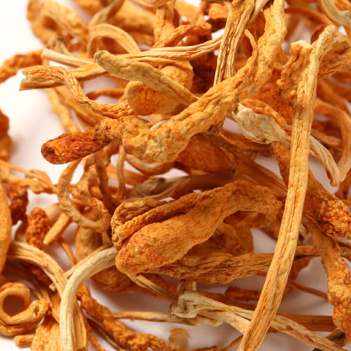 楽天市場 夏草花 かそうか 5g 冬虫夏草 健康食品 ストレス むくみ 疲労 美容 疲労回復 薬膳料理 薬膳スープ ストレス むくみ 冷え 肌トラブル 薬膳レシピ 和漢食材 漢方 食材 薬膳 Zen Room おうちで和漢