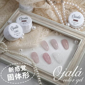 ＼マラソン期間 半額OFFクーポン／固体形タイプ カラージェル ジェルネイル サロン級 透け感 ネイルジェル クリーム ネイルアート セルフネイル シアーカラー ナチュラル スキンカラージェル ポリッシュ 爪 ポリッシュキット 磁石 UV・LED対応