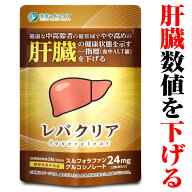 【レビュー特典 もう1袋】肝機能 サプリ 肝臓 スルフォラファン グルコシノレート 血中 alt値 ALT値 alt …