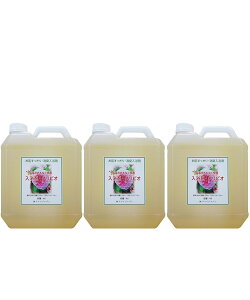 NrI p 4bg vʃJbvEL^mYt Y h NCWp C^Cv pNrI  t  ɗD e Rh v[g Mtg