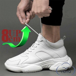 V[NbgV[Y Y  gAbv8cm up8cm wȂ Y  C Cq[ K JWA