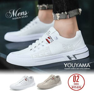 Xj[J[ V[Y fB[X ^C Y RtH[gV[Y jOV[Y X|[c C JWAV[Y ʋC 